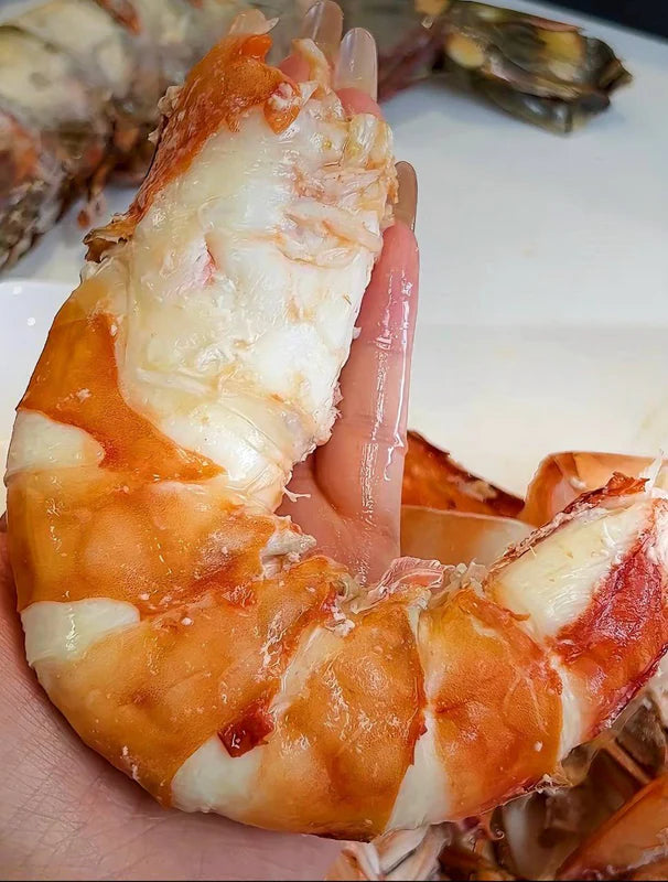 Colossal Black Tiger Prawns